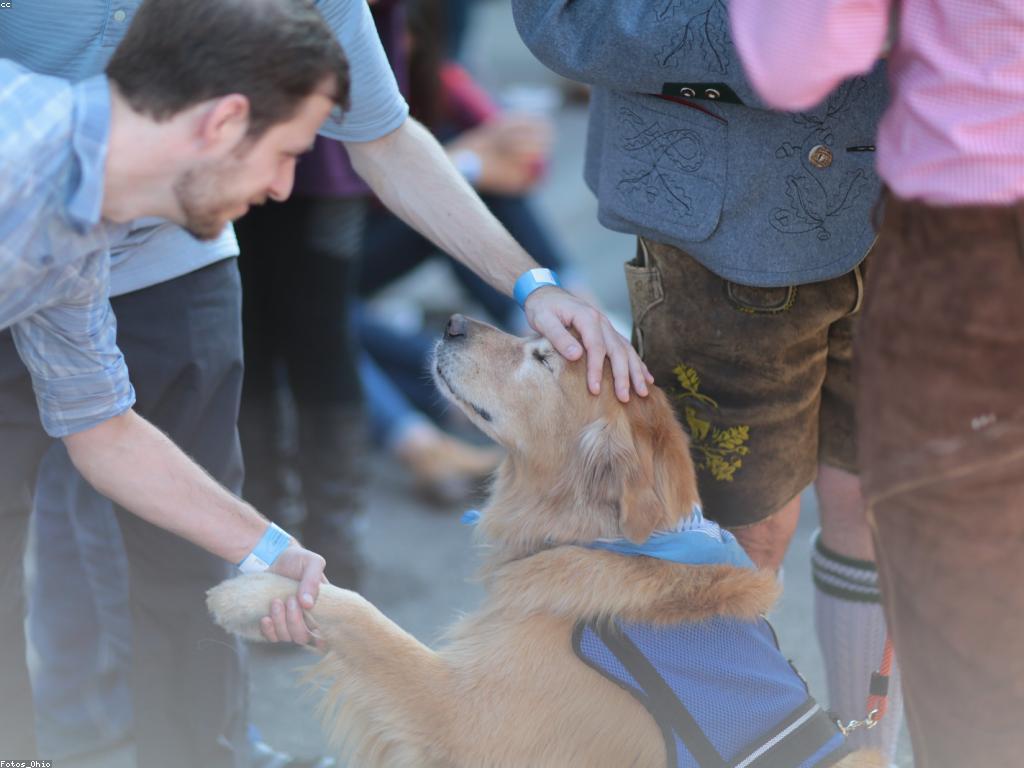 ការស្វែងយល់អំពីក្លឹបនិងវេទិកា