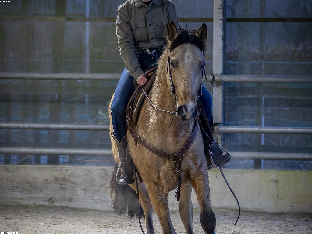 វិធីសាស្ត្រលេងច្បាស់លាស់សម្រាប់អ្នកចាប់ផ្តើម