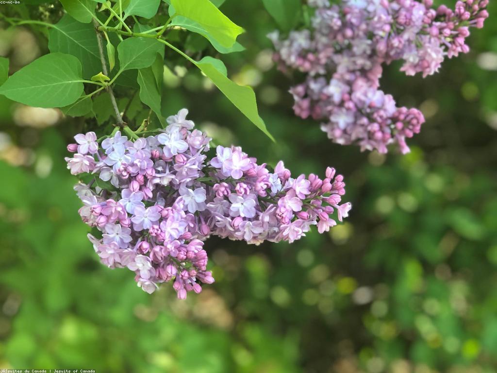 ការយល់ដឹងអំពីក្បាច់បច្ចេកទេសកម្រិតខ្ពស់